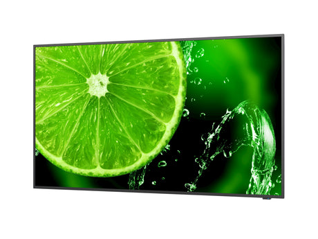 EAN 5028695120495 - NEC MultiSync E658 165,1 cm (65") IPS 350 cd / m² 4K Ultra HD Negro 16/7 imagen 5