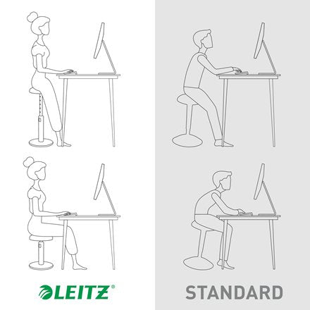 Leitz Ergo Cosy Active Asiento Acolchado