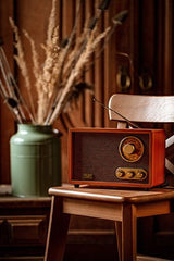 Radio Adler Ad 1171 Retro  With Bluetooth, Brown