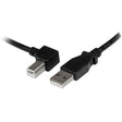 EAN 0065030852043 - StarTech.com 1m USB 2.0 cable USB 0,48 Gbit/s Negro imagen 1
