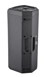 EAN 4260035679244 - Reflexion PS09BT altavoz portátil o de fiesta Altavoz portátil estéreo Negro 500 W imagen 2