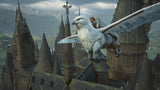 Gra Nintendo Switch 2 Hogwarts Legacy
