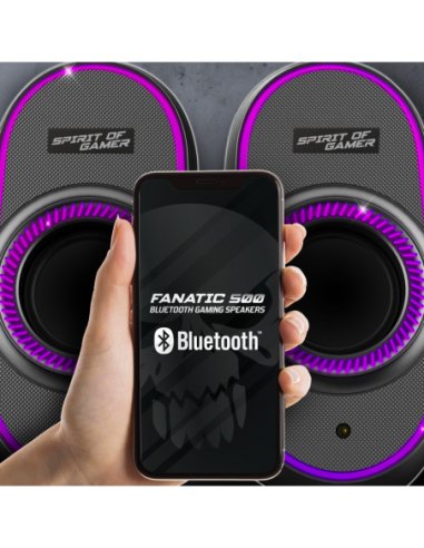 Spirit Of Gamer Altavoz 2.0 Fanatic 500 Rgb Black