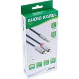 Cable De Audio Delgado Inline De 3,5 Mm Macho A 2x Rca Macho De 1 M