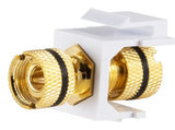 S-Impuls Audio Keystone Empalme, Chapado En Oro, Negro
