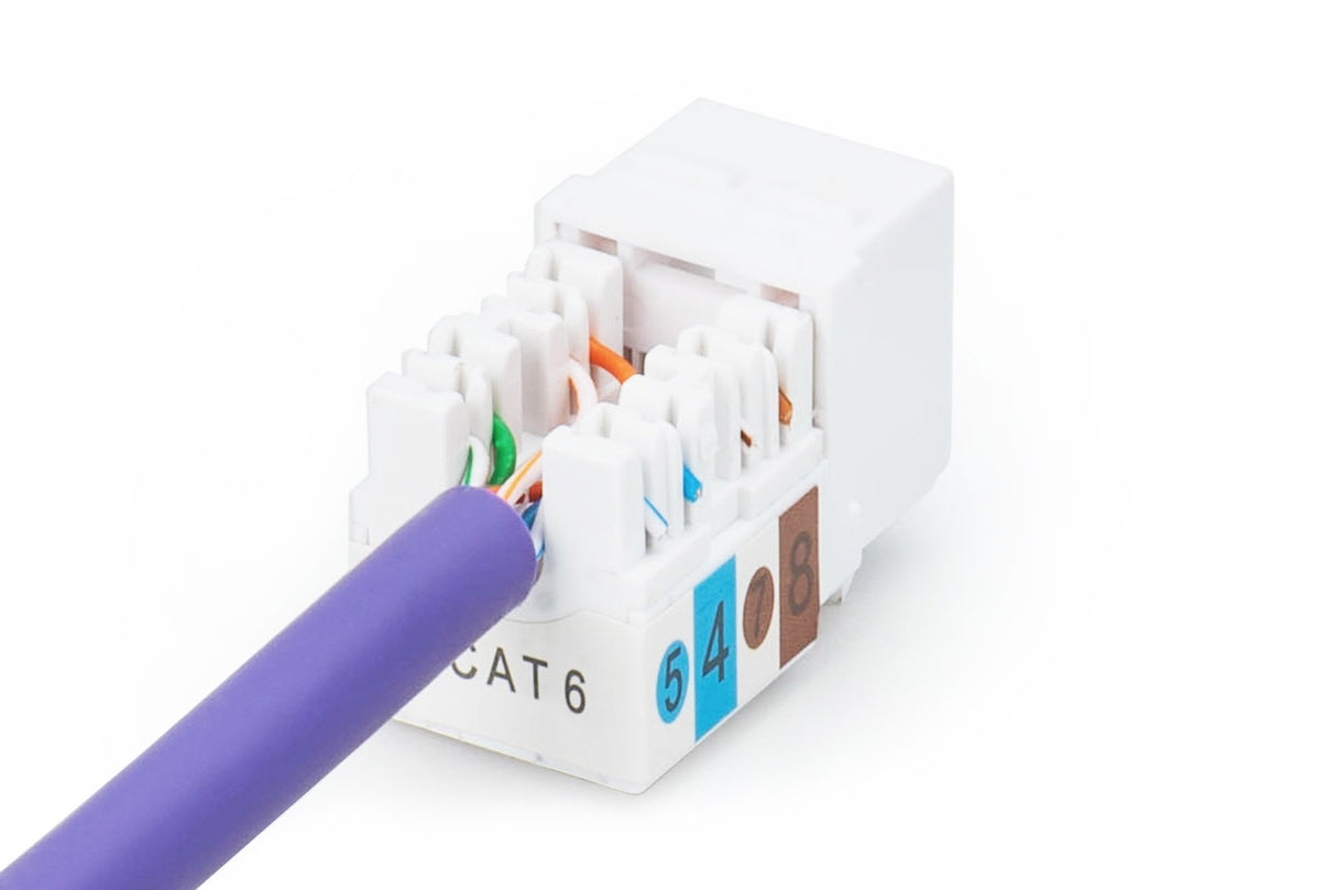 EAN 4016032245100 - Digitus DN-93601 módulo de conector de red imagen 4