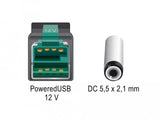 Delock 85498 Cable Poweredusb Macho 12 V > Dc 5,5 X 2,1 Mm, Macho De 2 M Para Impresoras Y Terminales De Punto De Venta