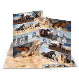 Carpeta Herma A3 Caballos Cartulina