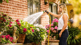 EAN 4059952617541 - Bosch GardenPump18V-2000 2000 l/h imagen 8