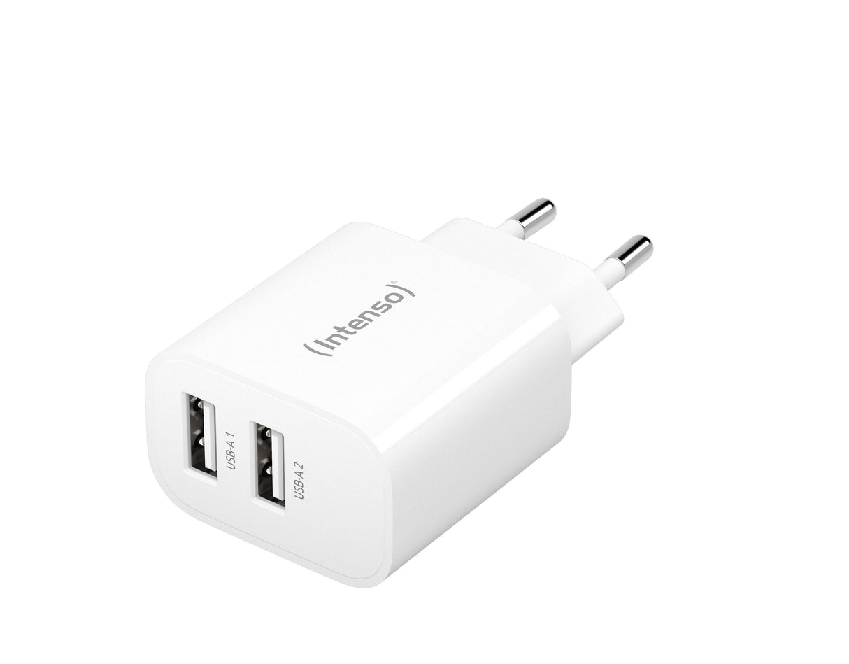 Intenso 2x Usb-A Adaptador Blanco