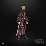 Figura Hasbro Star Wars Black Series The Phantom Menace Padmé Amidala