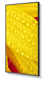 M501-2, 50" M-Series, Lfd,  Uhd 3840x2160, 500cd/M2,