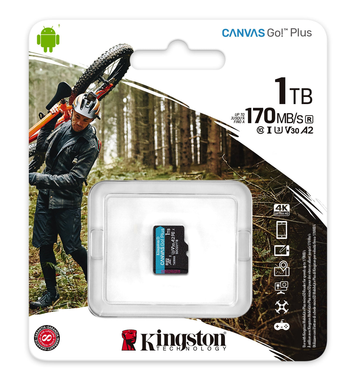 Kingston  Tarjeta De Memoria Microsdxc De 1tb (Negro, Uhs-I U3, Clase 10, V30, A2)