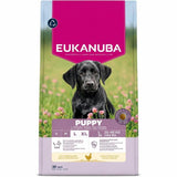 Eukanuba Dog Breeder Puppy Large Chicken 18kg