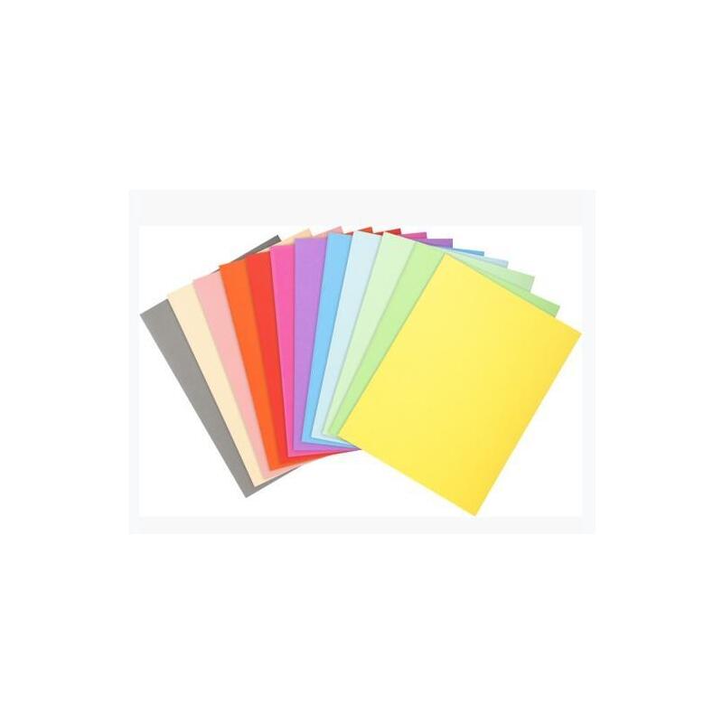 Exacompta Subcarpetas A4 Forever Color Gris 220gr -100u-