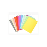 Exacompta Subcarpetas A4 Forever Color Gris 220gr -100u-