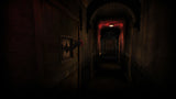Juego Asylum Playstation 5
