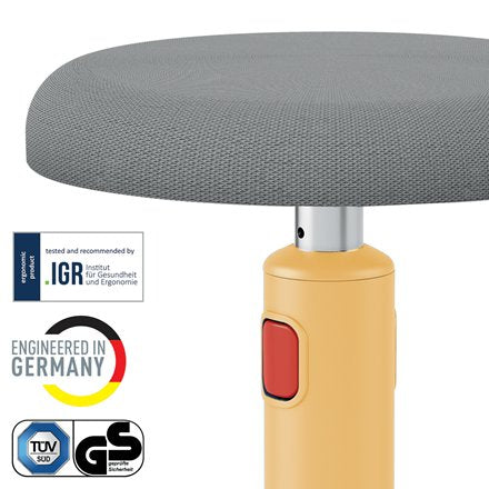 Leitz Ergo Cosy Active Asiento Acolchado