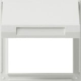 Gira 065466 Marco Adaptador Tapa Abatible Tx44 (Wg Up) Blanco Puro