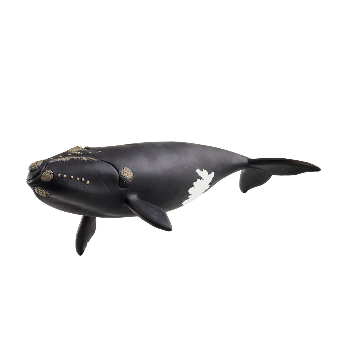 Figura De Juguete De Ballena Franca Del Atlántico Norte De Schleich Wild Life   14878