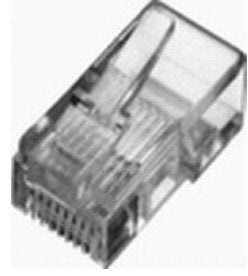 EAN 5907772590492 - ASSMANN Electronic RJ45 (8P8C) Transparente imagen 1
