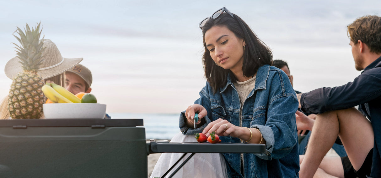 Anker Everfrom Powered Cooler 33l + Batería De Refrigeración