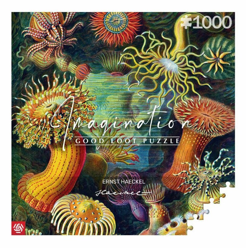 EAN 5908305244943 - Cenega Imagination Puzzle rompecabezas 1000 pieza(s) Arte imagen 1