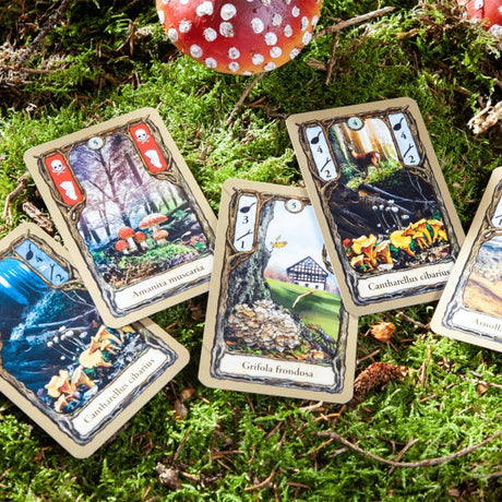 EAN 4250231705076 - Pegasus Spiele Fungi Juego De Cartas Simulación imagen 6