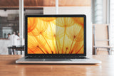3m Bp156w1e Blickschutzf. 16:10 15,6  Bright Screen Für Laptop