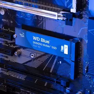 EAN 0718037893228 - Western Digital WDS200T4B0E unidad de estado sólido 2 TB M.2 PCI Express 4.0 NVMe imagen 3