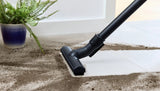 Aspirador Serie De Hogar De Bosch  4 Bgd38rd1h De Bidón Rojo