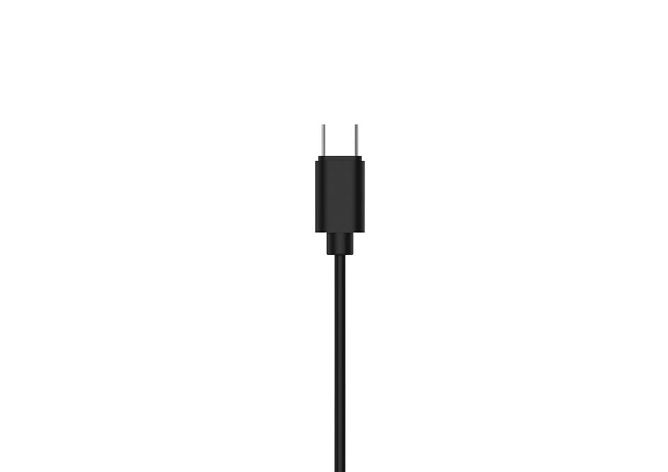 Auriculares Intrauditivos Philips She1405bks 27 Con Micrófono Usb Tipo-C Negros