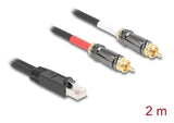 Delock Adaptadorkabel Rj45 Macho A 2 X Cinch Macho Negro 2 M