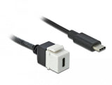 Adap Delock Keystone Usb 3.0 C To Usb 3.0 C Mit Cable