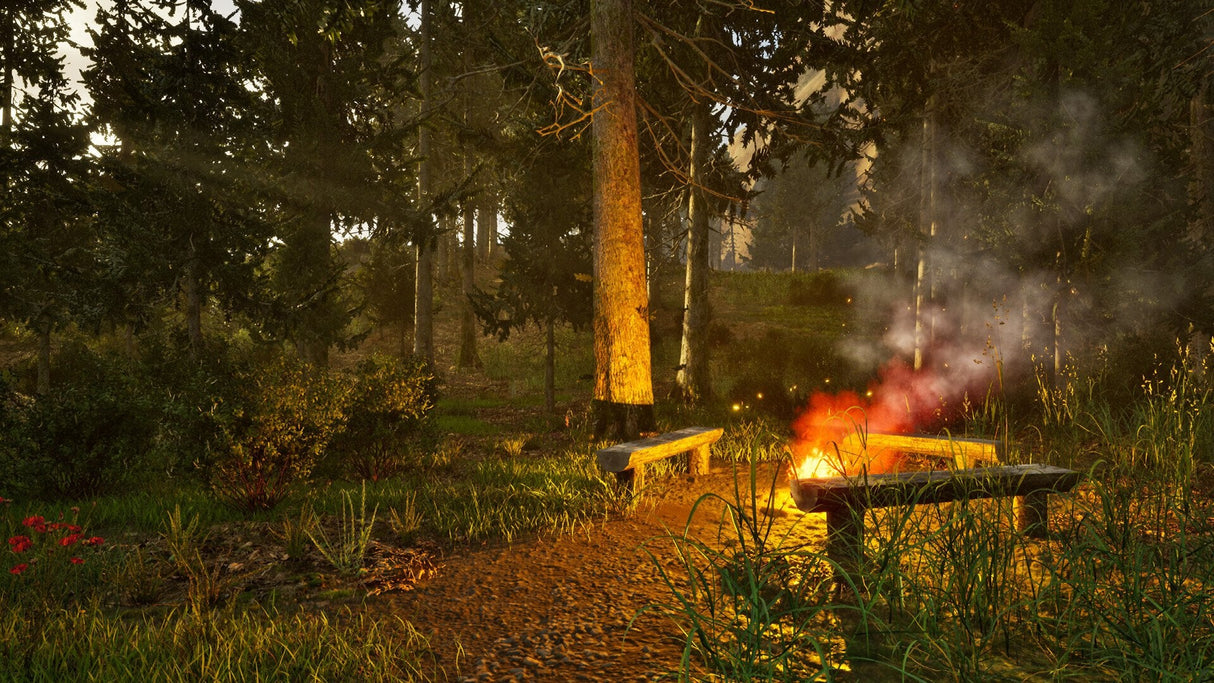 Juego Park Ranger Simulator Playstation 5