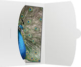 50 Funda Daiber 15x20 Blanco