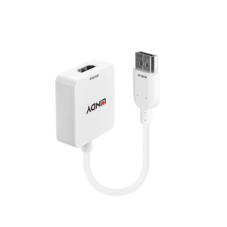 EAN 4002888381468 - Lindy 38146 adaptador de cable de vídeo HDMI tipo A (Estándar) DisplayPort Blanco imagen 1
