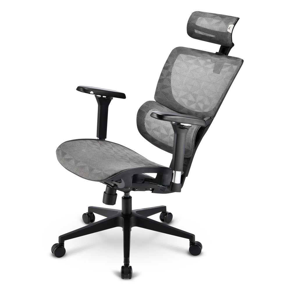 Silla De Oficina Sharkoon Officepal C40m Gris 4044951041428