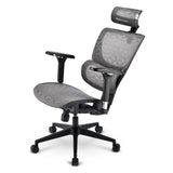 Silla De Oficina Sharkoon Officepal C40m Gris 4044951041428