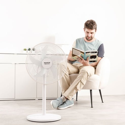 Ventilador Inalámbrico Taurus 4 En 1 Boreal 16cr Go 35 W Ø40 Cm