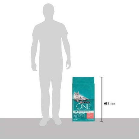 EAN 7613038508955 - Purina ONE 12430964 alimento seco para gatos 9,75 kg imagen 3