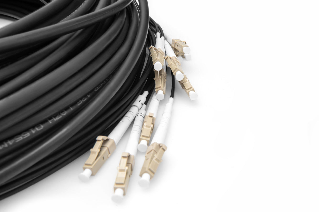 EAN 4016032484301 - Digitus DK-2433CU100BK-BBB Cable de fibra óptica e InfiniBand 100 m U-DQ(ZN) BH Negro imagen 4