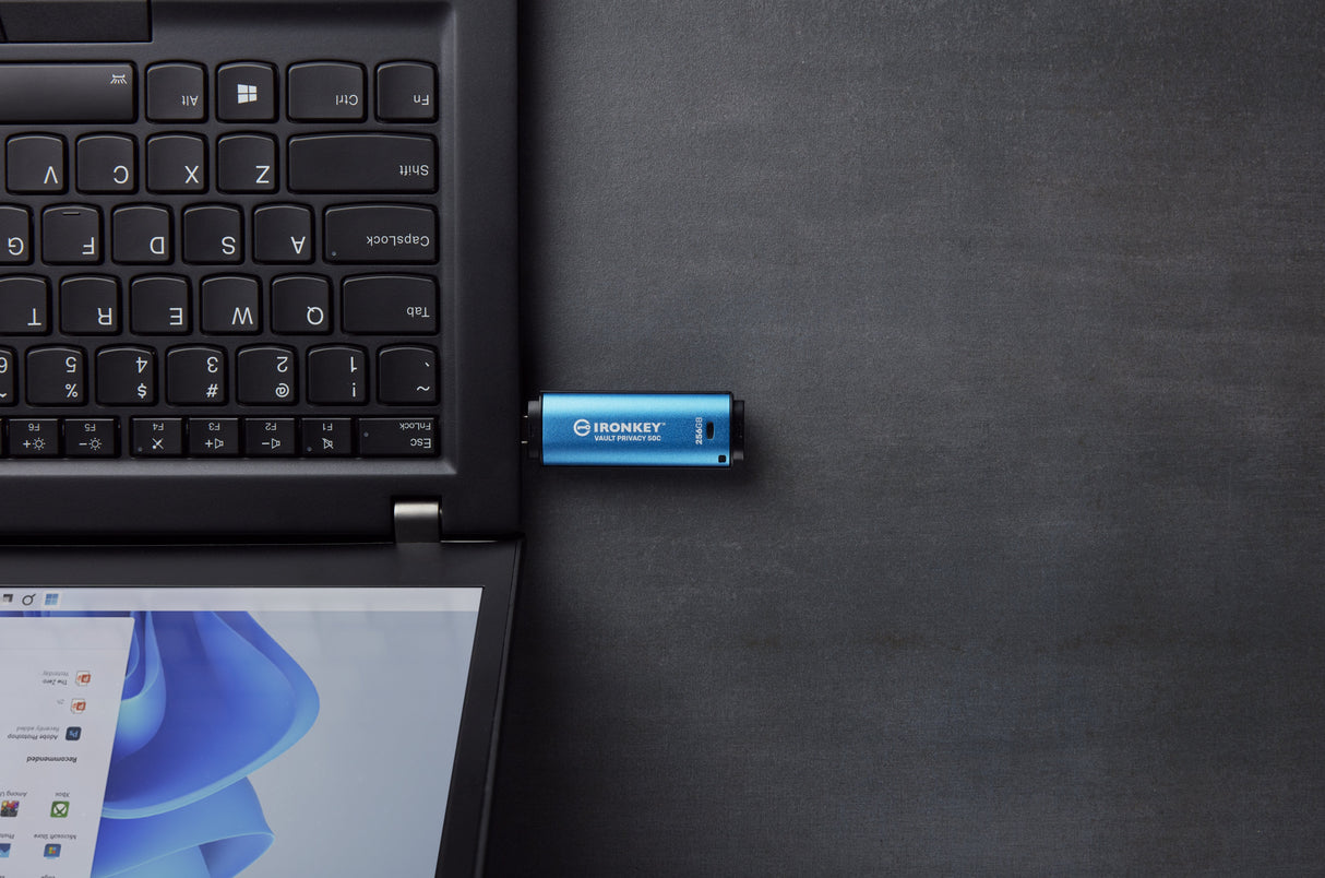Kingston Ironkey Vault Privacy 50 256 Gb, Lápiz Usb Celeste/Negro