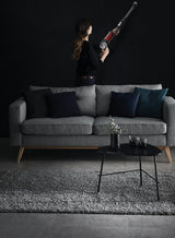 Aspirador  Rowenta Rh2078 Vertical Negro/Rojo