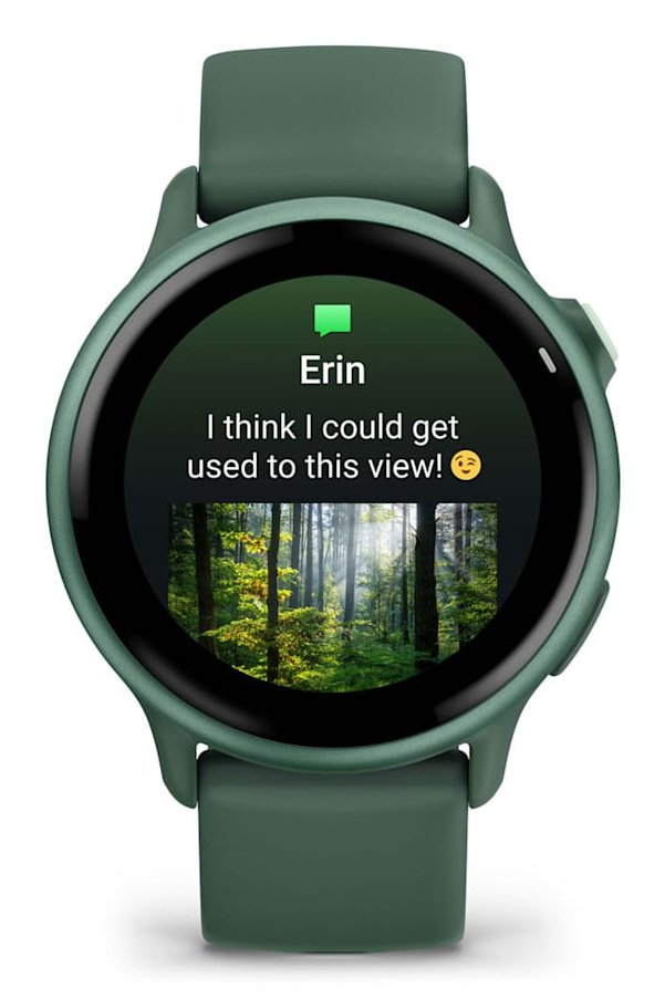 Smartwatch Garmin Vívoactive 6 Jasper Green 42mm Gps Bluetooth  Ant+ ,Wi-Fi