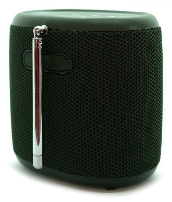 Pure Woodland Mini Wasserdichter Outdoor-Lautsprecher Mit Fm Dab+ Radio, Grün