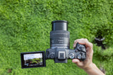 Camara Reflex Canon Eos R8 + Rf 24 50 F4.5 6.3 Is Stm 24.2mpx Negro