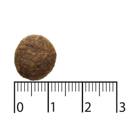 EAN 7311030450714 - Bozita 9117388 comida seca para perros 2,5 kg Adulto Reno imagen 2