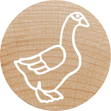 Colop Woodies Mempel-Set "Farm Animation" Retail