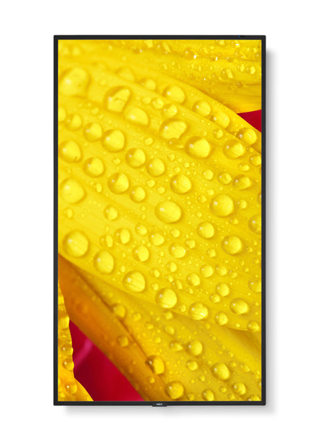 EAN 5028695127470 - NEC MultiSync M501-2 Diseño de quiosco 127 cm (50") LED 4K Ultra HD Negro Procesador incorporado imagen 8